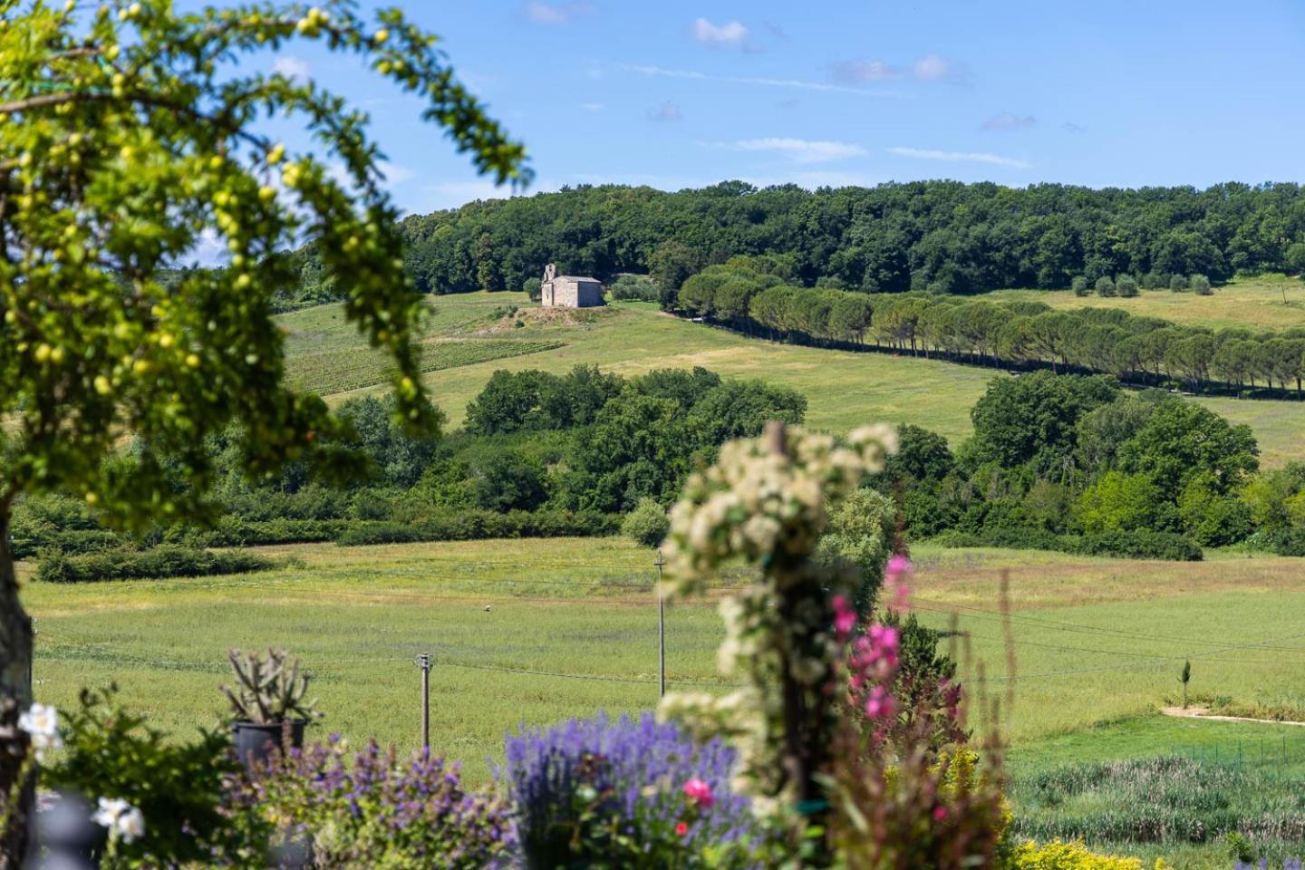 Il Fienile Dei Cardinali Appartement Colle di Val d'Elsa Buitenkant foto